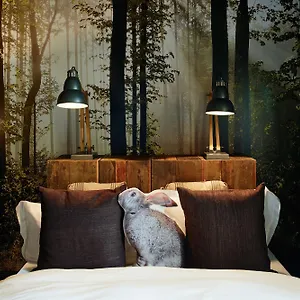 https://hotel-friends-dusseldorf.dusseldorf-hotel.net